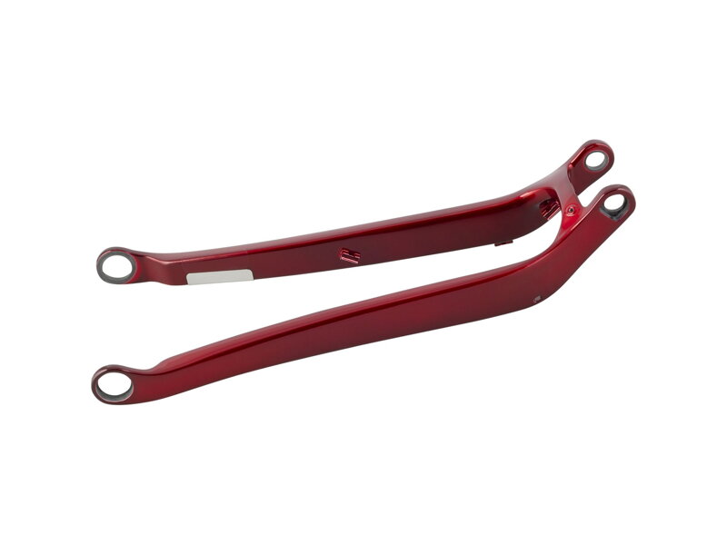 Trek 2021 Fuel EX 29 Carbon Chainstay - Rage Red